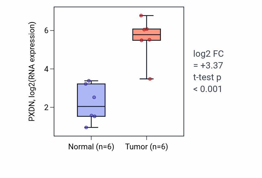 Tumor-vs-normal expression box plot for PXDN RNA in HNSC.