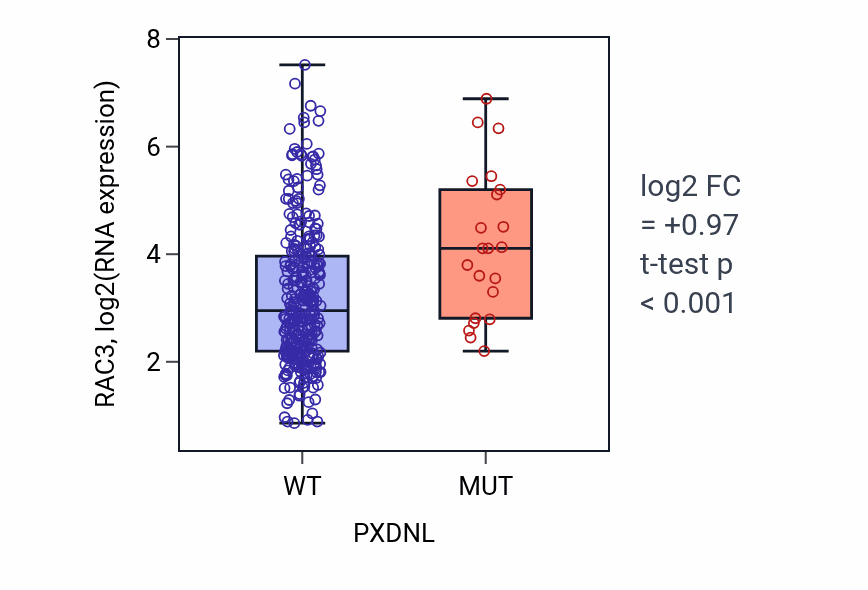 Box plot of RAC3 in PXDNL-low vs PXDNL-high samples in STAD.