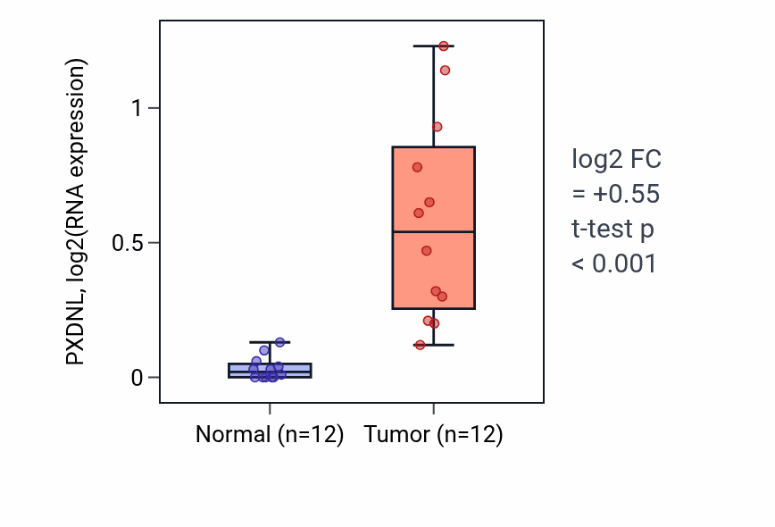 Tumor-vs-normal expression box plot for PXDNL RNA in LIHC.