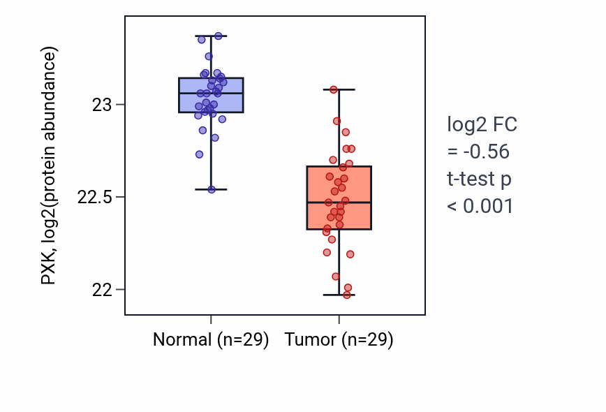 Tumor-vs-normal mass-spec protein box plot for PXK in CCRCC.