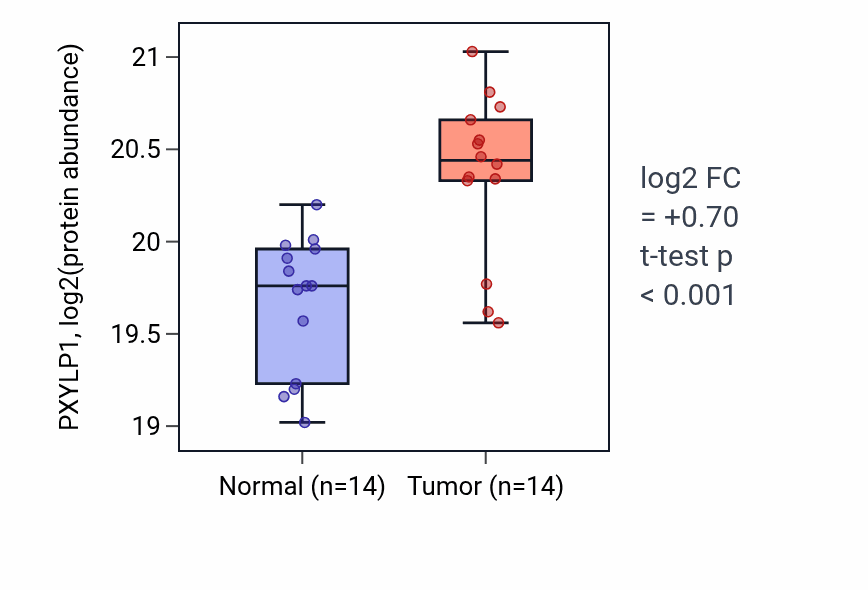 Tumor-vs-normal mass-spec protein box plot for PXYLP1 in LSCC.