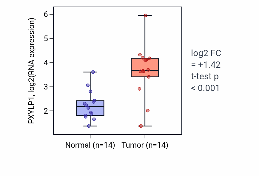 Tumor-vs-normal expression box plot for PXYLP1 RNA in BLCA.