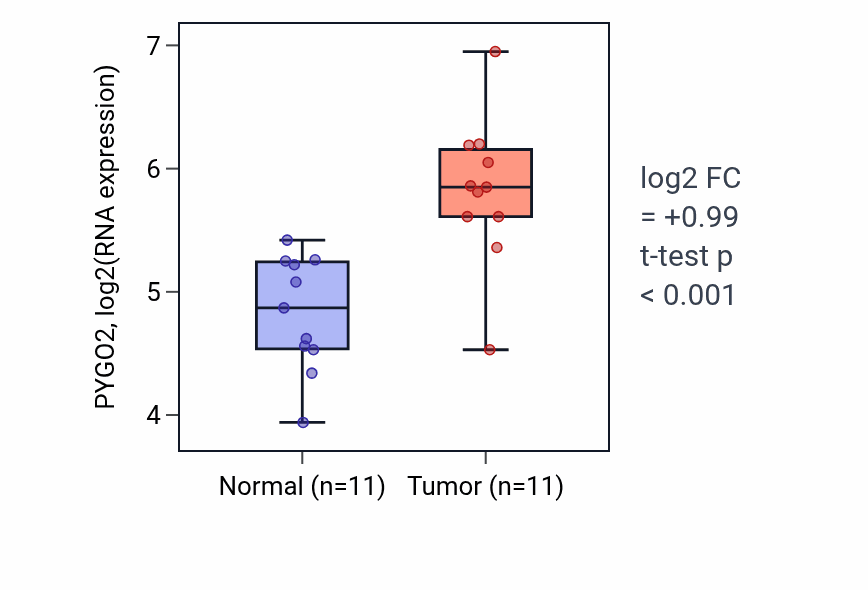 Tumor-vs-normal expression box plot for PYGO2 RNA in HNSC.