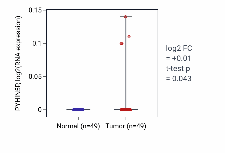 Tumor-vs-normal expression box plot for PYHIN5P in LUSC.
