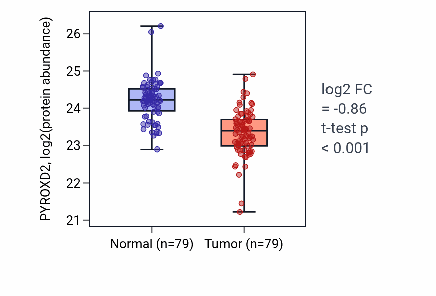 Tumor-vs-normal mass-spec protein box plot for PYROXD2 in LSCC.
