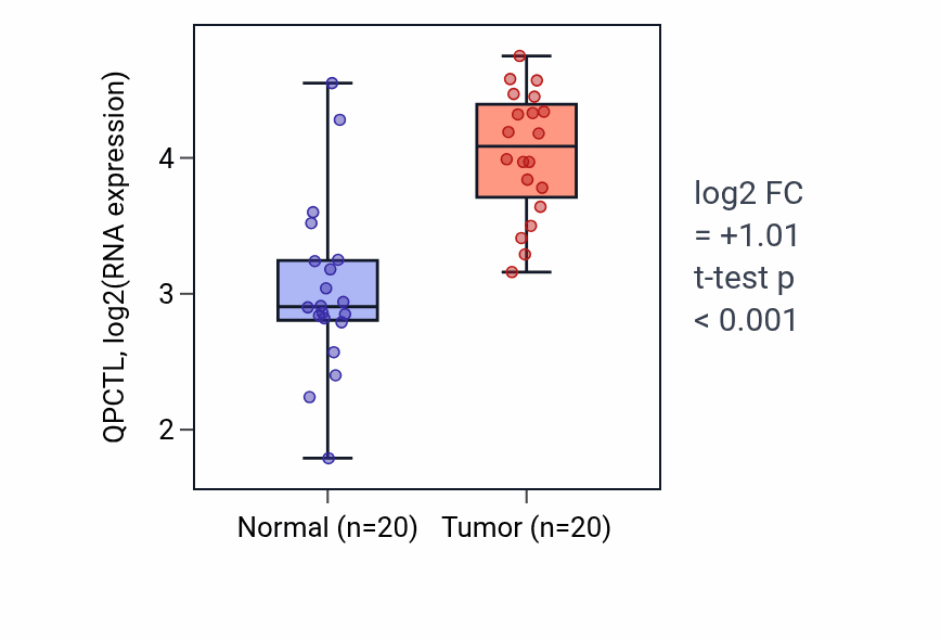 Tumor-vs-normal expression box plot for QPCTL RNA in KIRC.