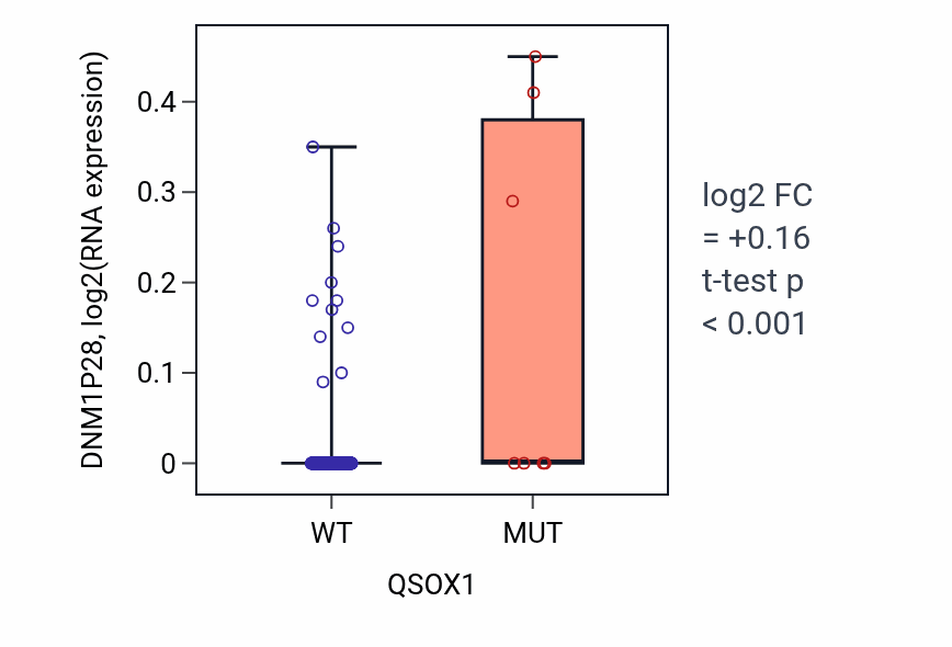 Box plot of DNM1P28 in QSOX1-low vs QSOX1-high samples in BLCA.
