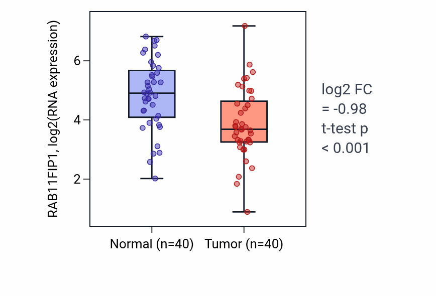 Tumor-vs-normal expression box plot for RAB11FIP1 RNA in HNSC.