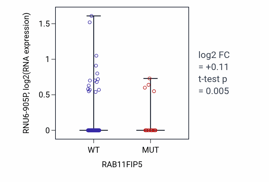 Box plot of RNU6-905P in RAB11FIP5-low vs RAB11FIP5-high samples in SKCM.