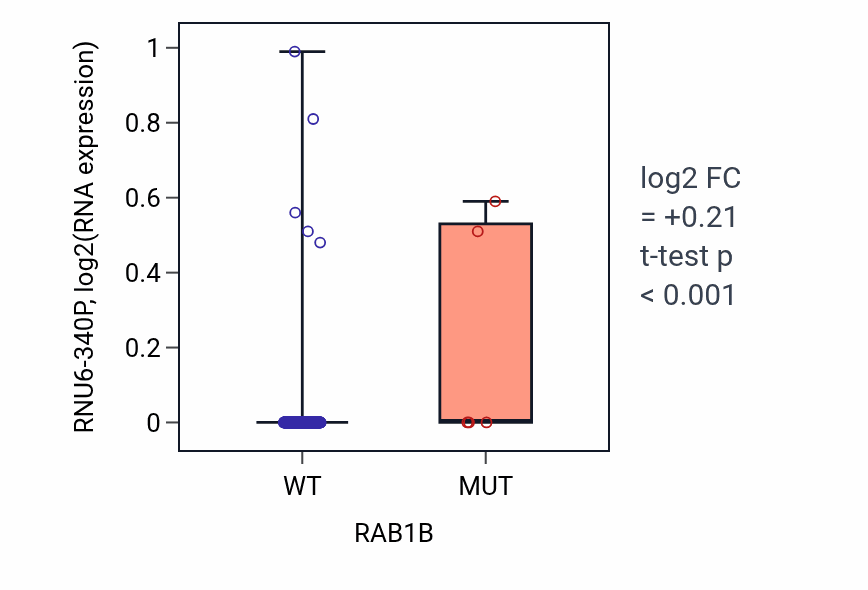 Box plot of RNU6-340P in RAB1B-low vs RAB1B-high samples in CESC.