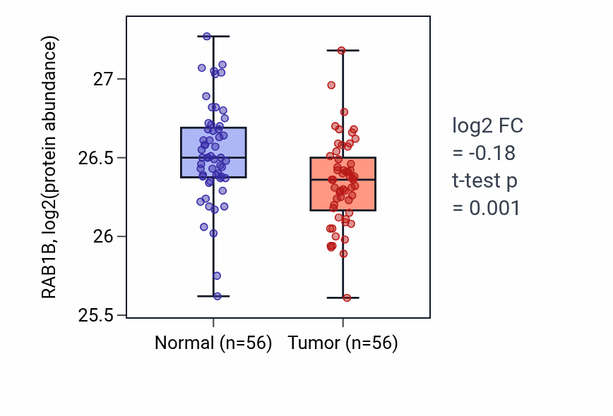 Tumor-vs-normal mass-spec protein box plot for RAB1B in HNSC.