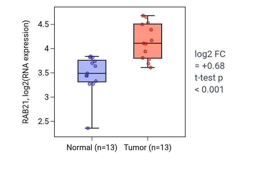 Tumor-vs-normal expression box plot for RAB21 RNA in HNSC.