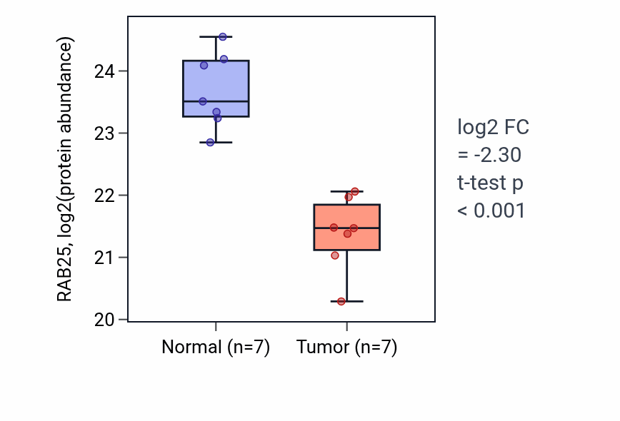 Tumor-vs-normal mass-spec protein box plot for RAB25 in CCRCC.