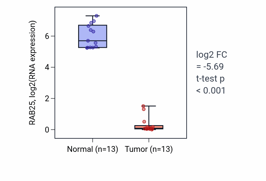Tumor-vs-normal expression box plot for RAB25 RNA in KIRC.