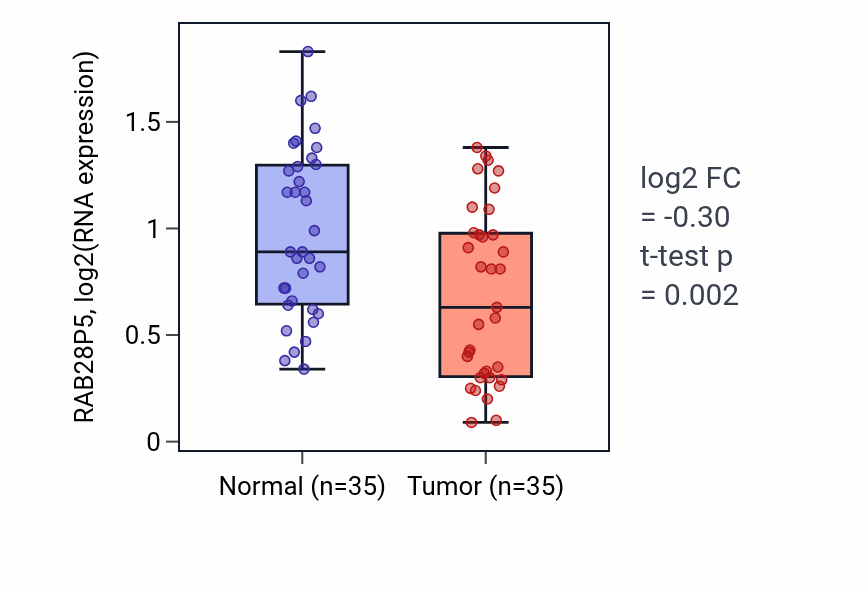 Tumor-vs-normal expression box plot for RAB28P5 in LUSC.
