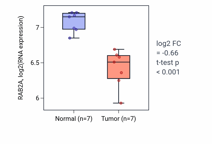 Tumor-vs-normal expression box plot for RAB2A RNA in THCA.