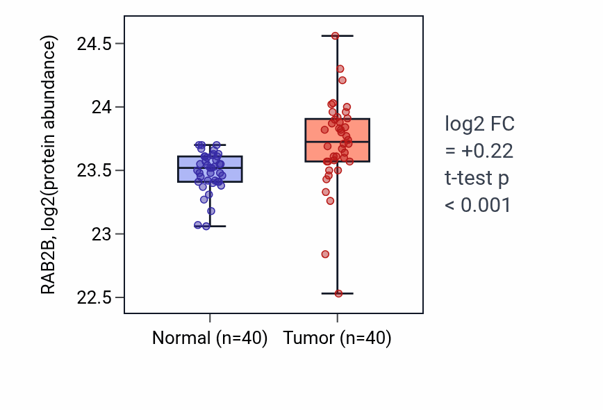 Tumor-vs-normal mass-spec protein box plot for RAB2B in CCRCC.