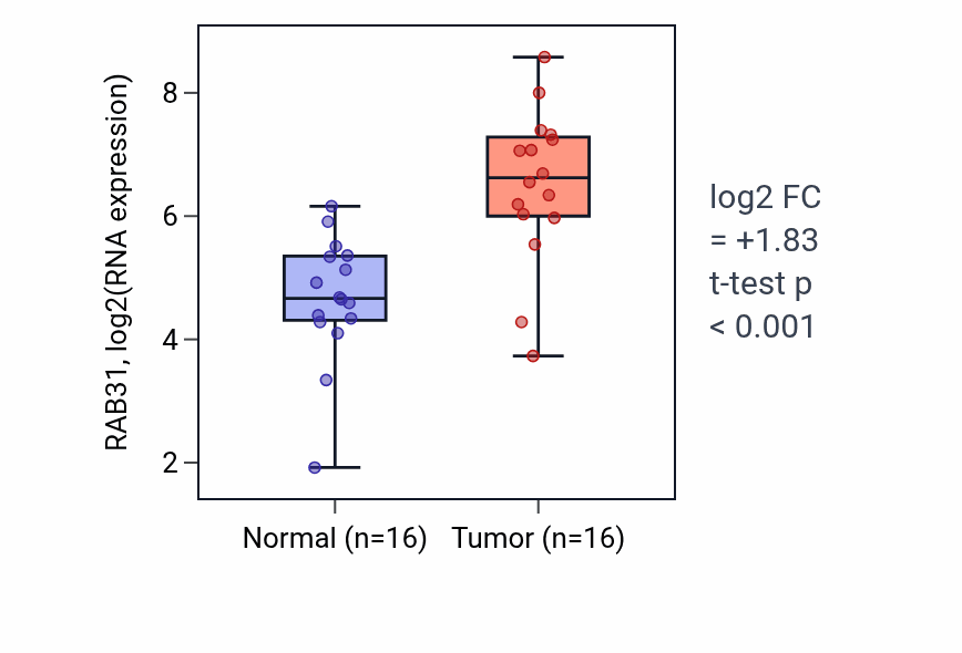 Tumor-vs-normal expression box plot for RAB31 RNA in HNSC.