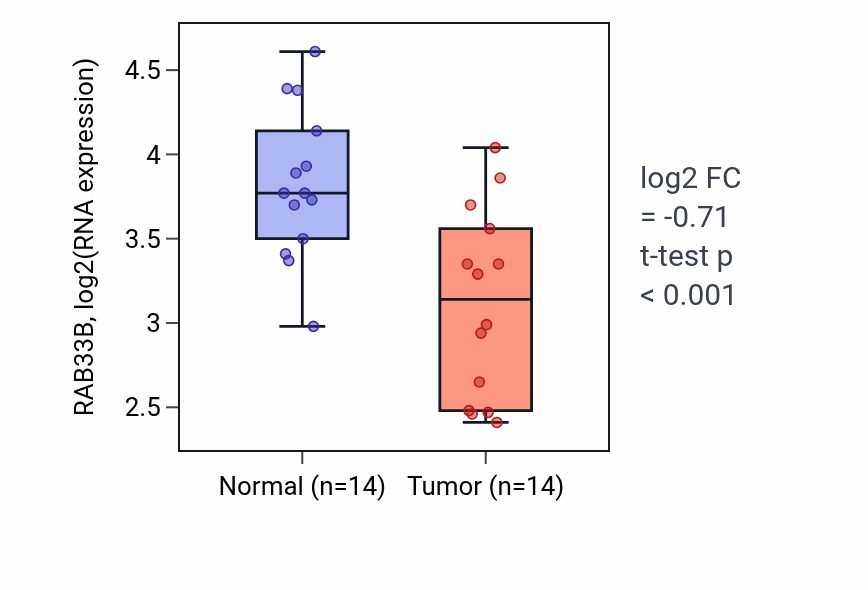 Tumor-vs-normal expression box plot for RAB33B RNA in LUSC.
