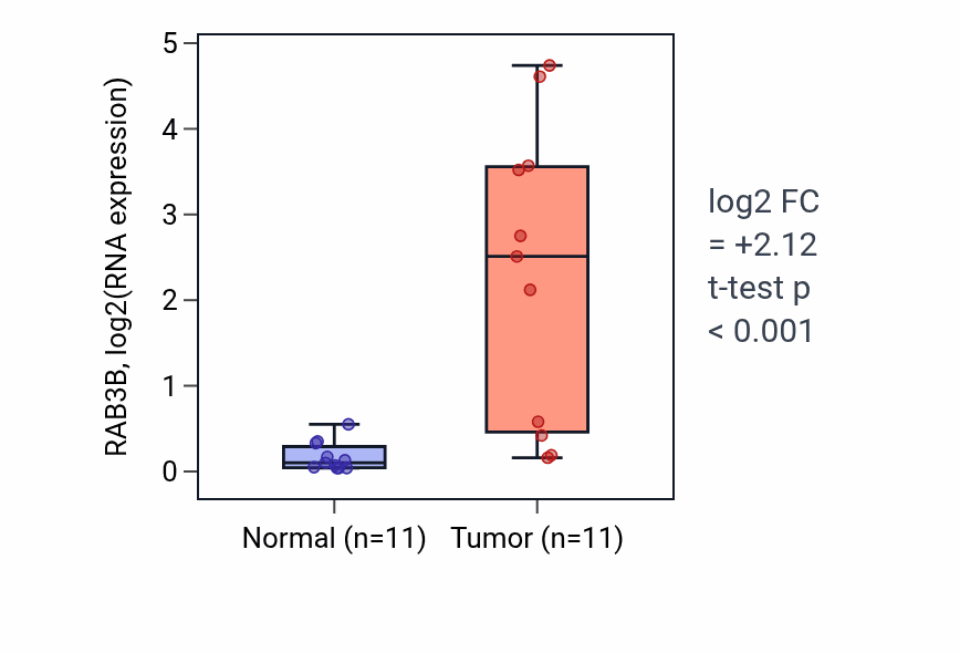 Tumor-vs-normal expression box plot for RAB3B RNA in HNSC.