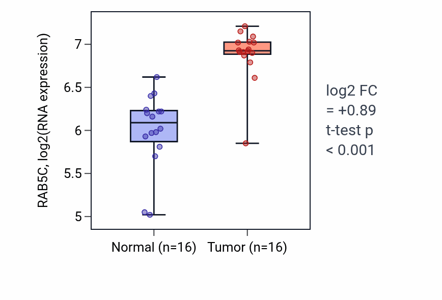 Tumor-vs-normal expression box plot for RAB5C RNA in HNSC.