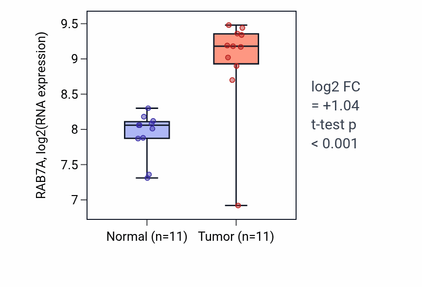 Tumor-vs-normal expression box plot for RAB7A RNA in HNSC.