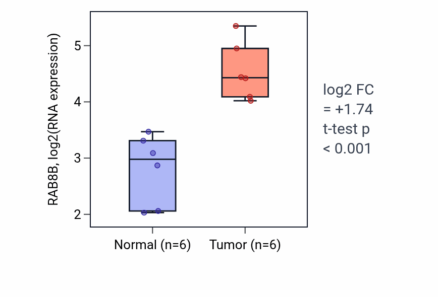 Tumor-vs-normal expression box plot for RAB8B RNA in HNSC.