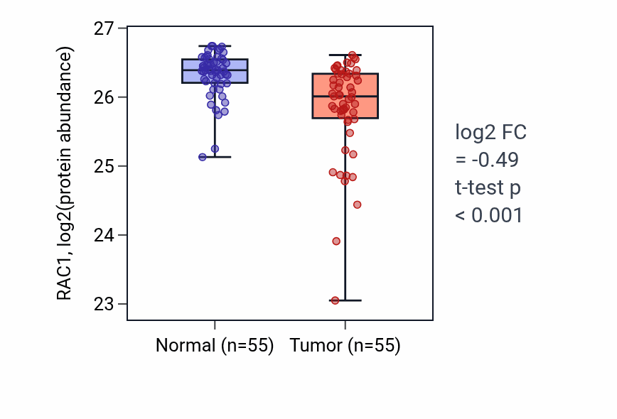 Tumor-vs-normal mass-spec protein box plot for RAC1 in COAD.