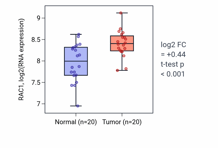 Tumor-vs-normal expression box plot for RAC1 RNA in KIRC.