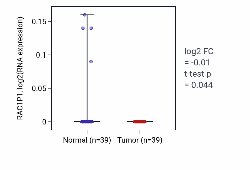 Tumor-vs-normal expression box plot for RAC1P1 in COAD.