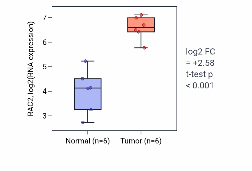 Tumor-vs-normal expression box plot for RAC2 RNA in HNSC.