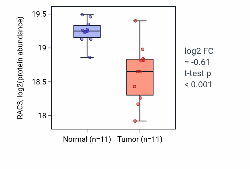 Tumor-vs-normal mass-spec protein box plot for RAC3 in CCRCC.