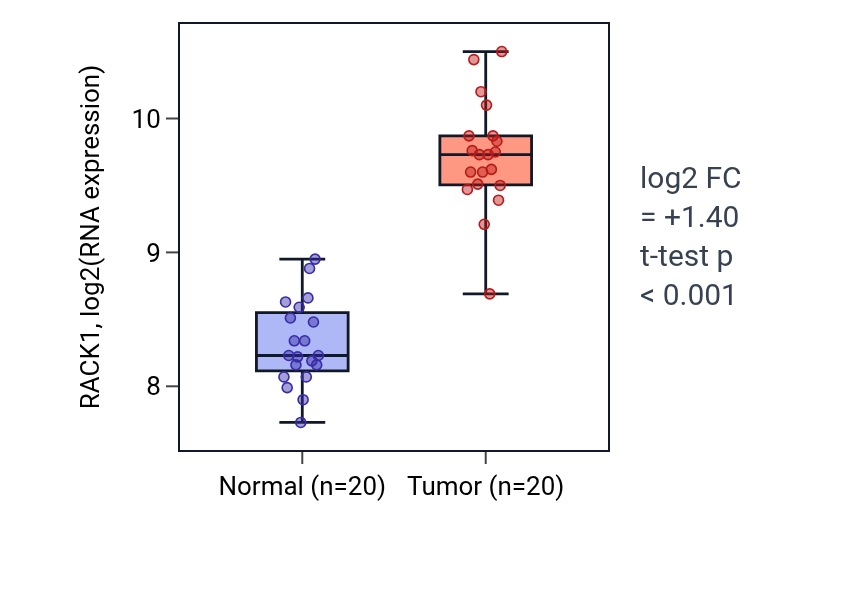 Tumor-vs-normal expression box plot for RACK1 in KIRC.