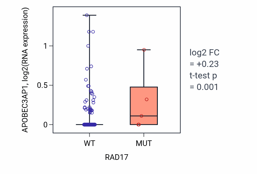 Box plot of APOBEC3AP1 in RAD17-low vs RAD17-high samples in STAD.