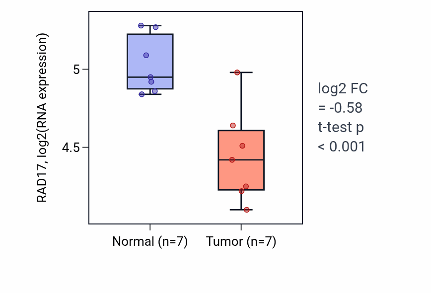 Tumor-vs-normal expression box plot for RAD17 RNA in THCA.