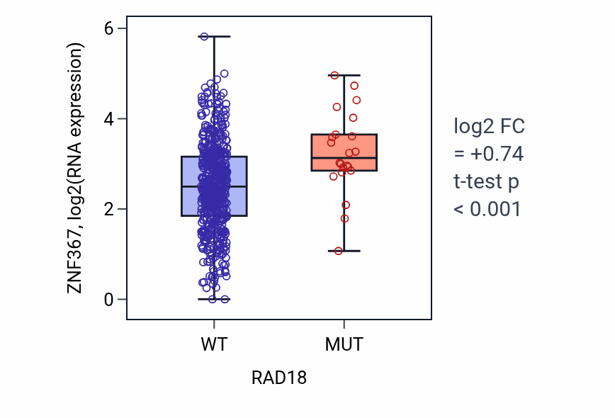 Box plot of ZNF367 in RAD18-low vs RAD18-high samples in UCEC.