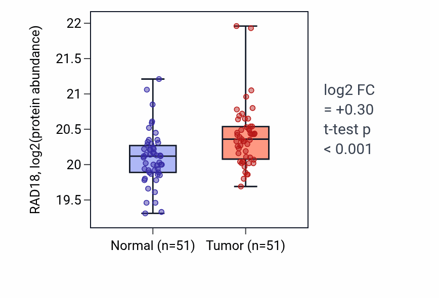 Tumor-vs-normal mass-spec protein box plot for RAD18 in LSCC.