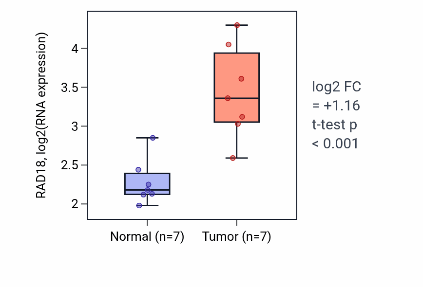 Tumor-vs-normal expression box plot for RAD18 RNA in BLCA.