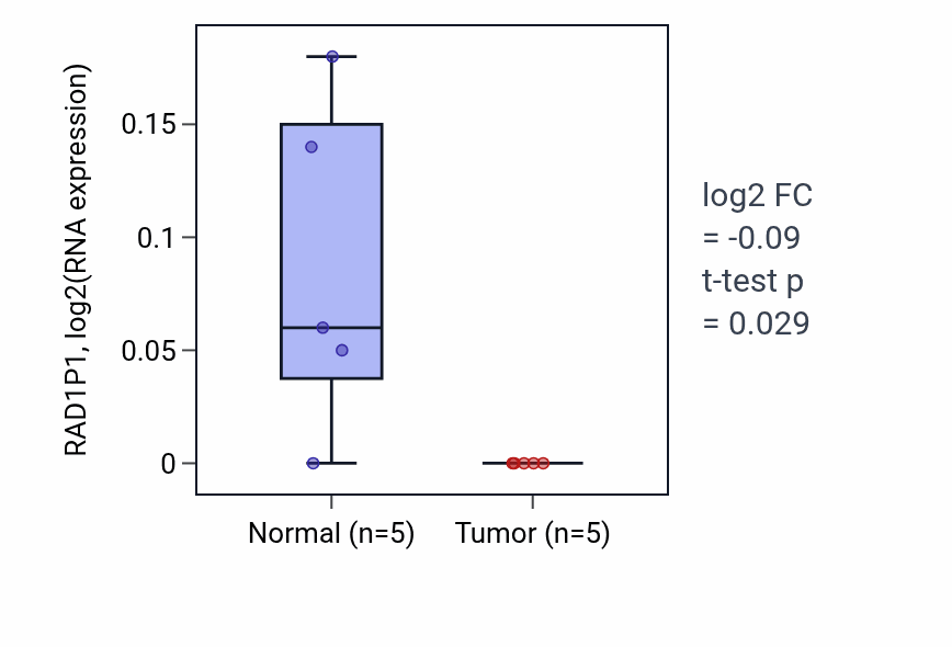 Tumor-vs-normal expression box plot for RAD1P1 RNA in KIRP.