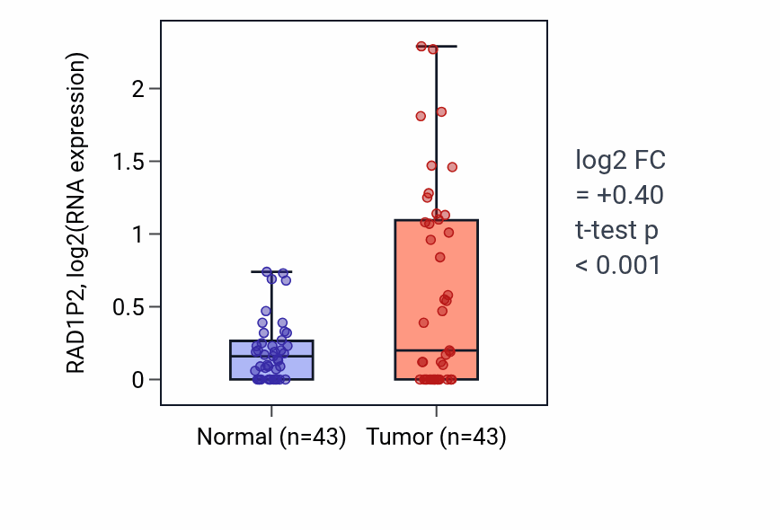 Tumor-vs-normal expression box plot for RAD1P2 in HNSC.