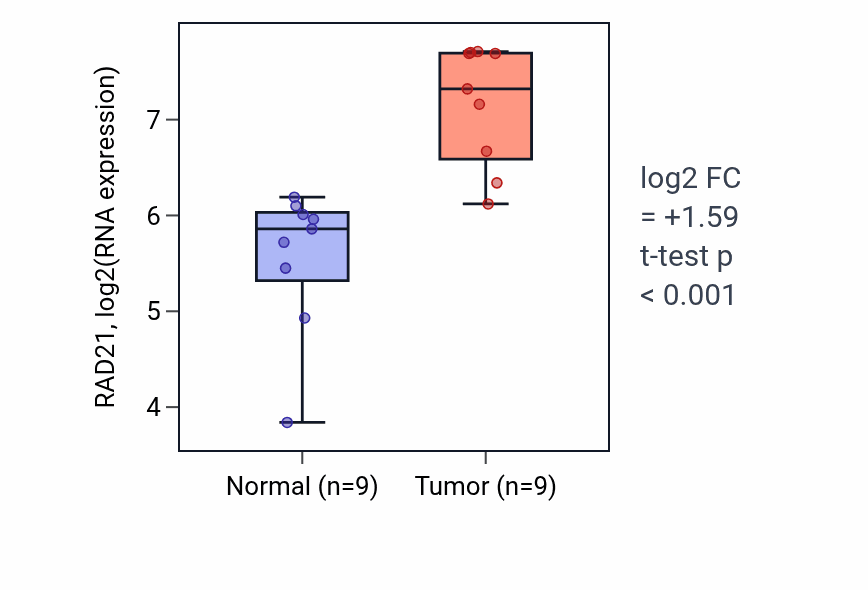 Tumor-vs-normal expression box plot for RAD21 RNA in HNSC.