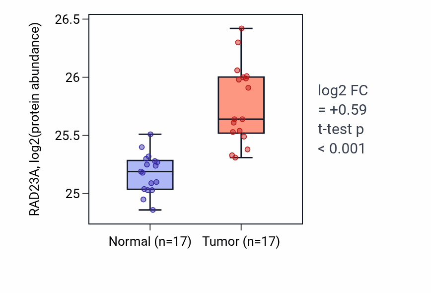 Tumor-vs-normal mass-spec protein box plot for RAD23A in CCRCC.