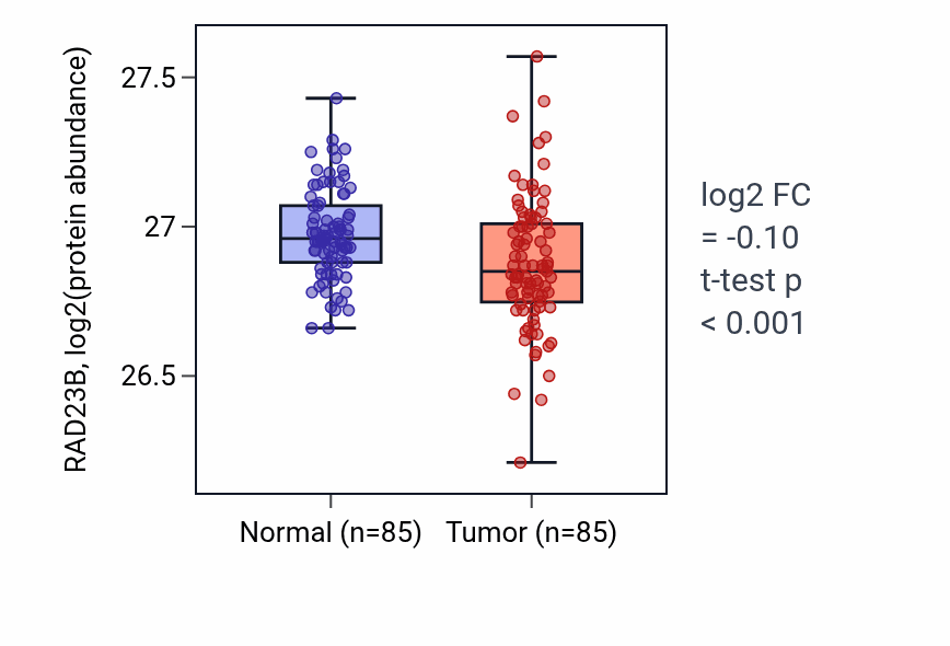 Tumor-vs-normal mass-spec protein box plot for RAD23B in COAD.
