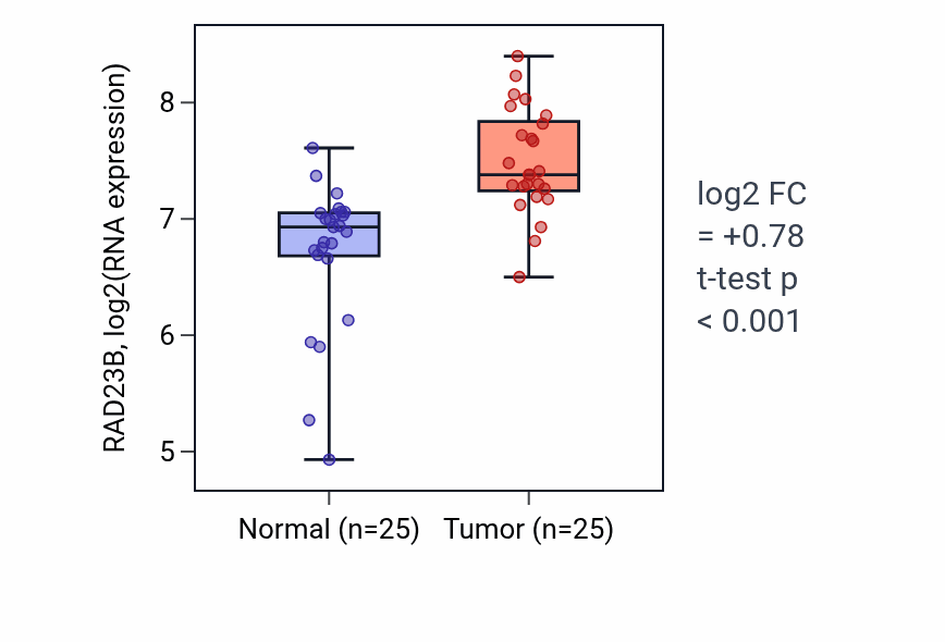 Tumor-vs-normal expression box plot for RAD23B RNA in HNSC.
