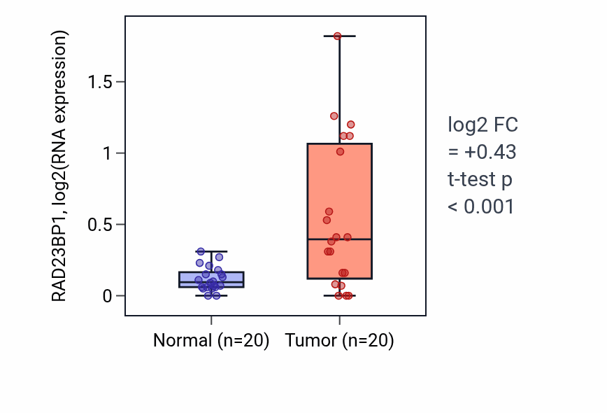 Tumor-vs-normal expression box plot for RAD23BP1 in COAD.