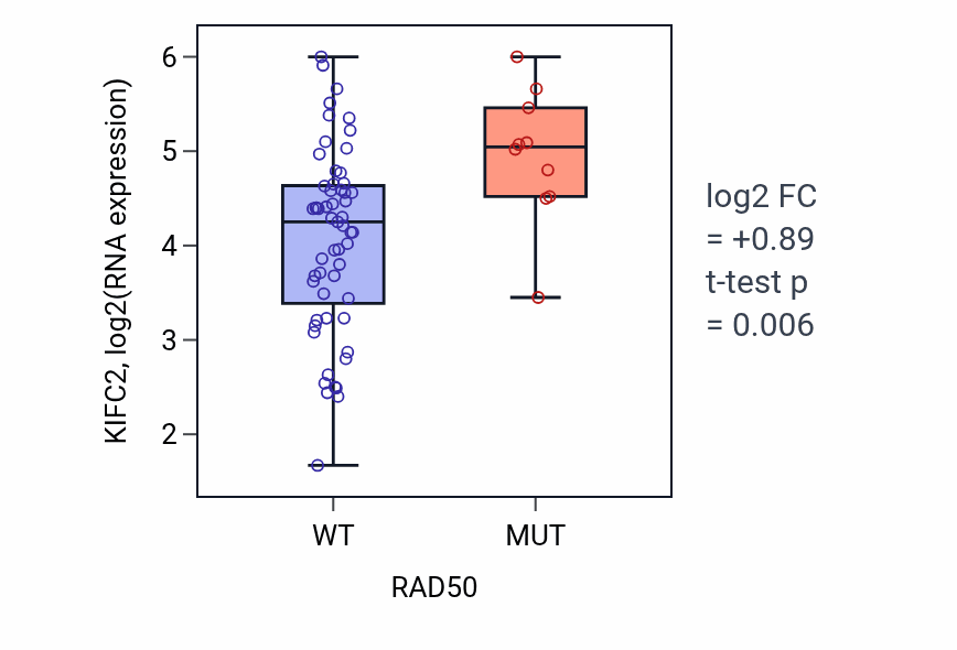 Box plot of KIFC2 in RAD50-low vs RAD50-high samples in LARGE_INTESTINE.
