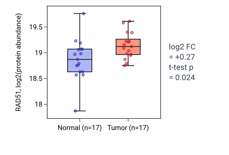 Tumor-vs-normal mass-spec protein box plot for RAD51 in LSCC.