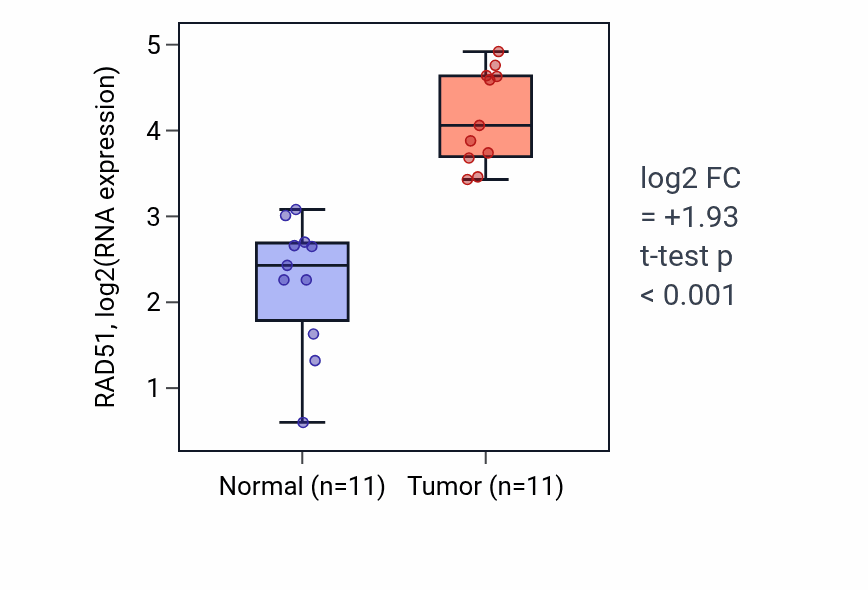 Tumor-vs-normal expression box plot for RAD51 RNA in HNSC.