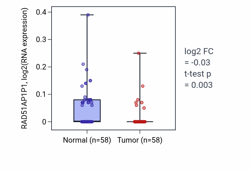 Tumor-vs-normal expression box plot for RAD51AP1P1 in THCA.