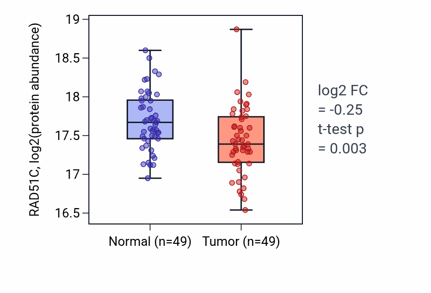 Tumor-vs-normal mass-spec protein box plot for RAD51C in LUAD.